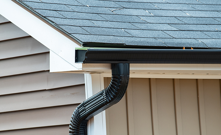 roof_and_gutter_cleaning