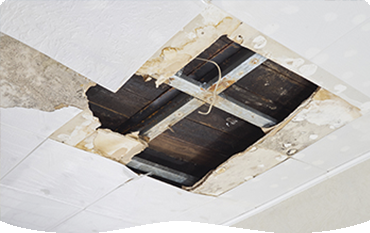 Water Damage Repair
