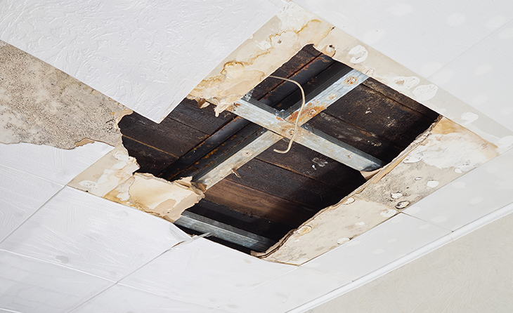water_damage_repair